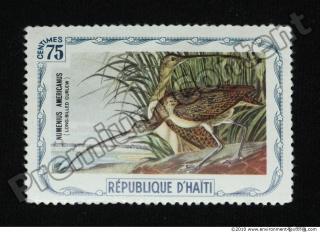 Photo Texture of Postage Stamp