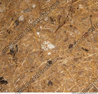 Ground Thatch 0002