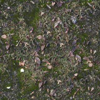 Seamless Grass 0001