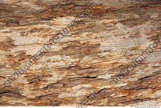 Wood 0007