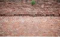 Walls Brick 0161