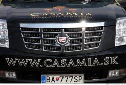 Photo Reference of Cadillac Escalade