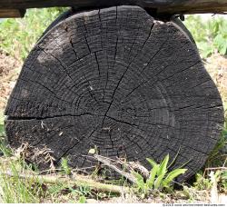 Photo Texture of Wood