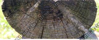 photo texture of wood end