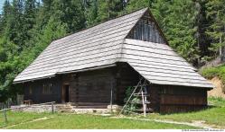 Buildings Shed