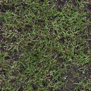 Seamless Grass 0001