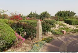 Background Gardens