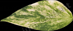 High Resolution Decals Textures 0049