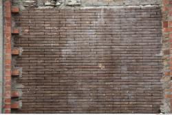 Photo Textures of Wall Brick