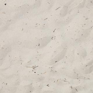 Photo Textures of Sand