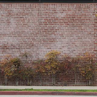 Photo Textures of Mixed American Walls