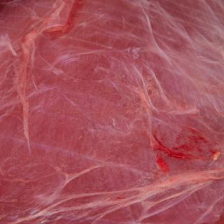 Photo Textures of RAW Beef Meat